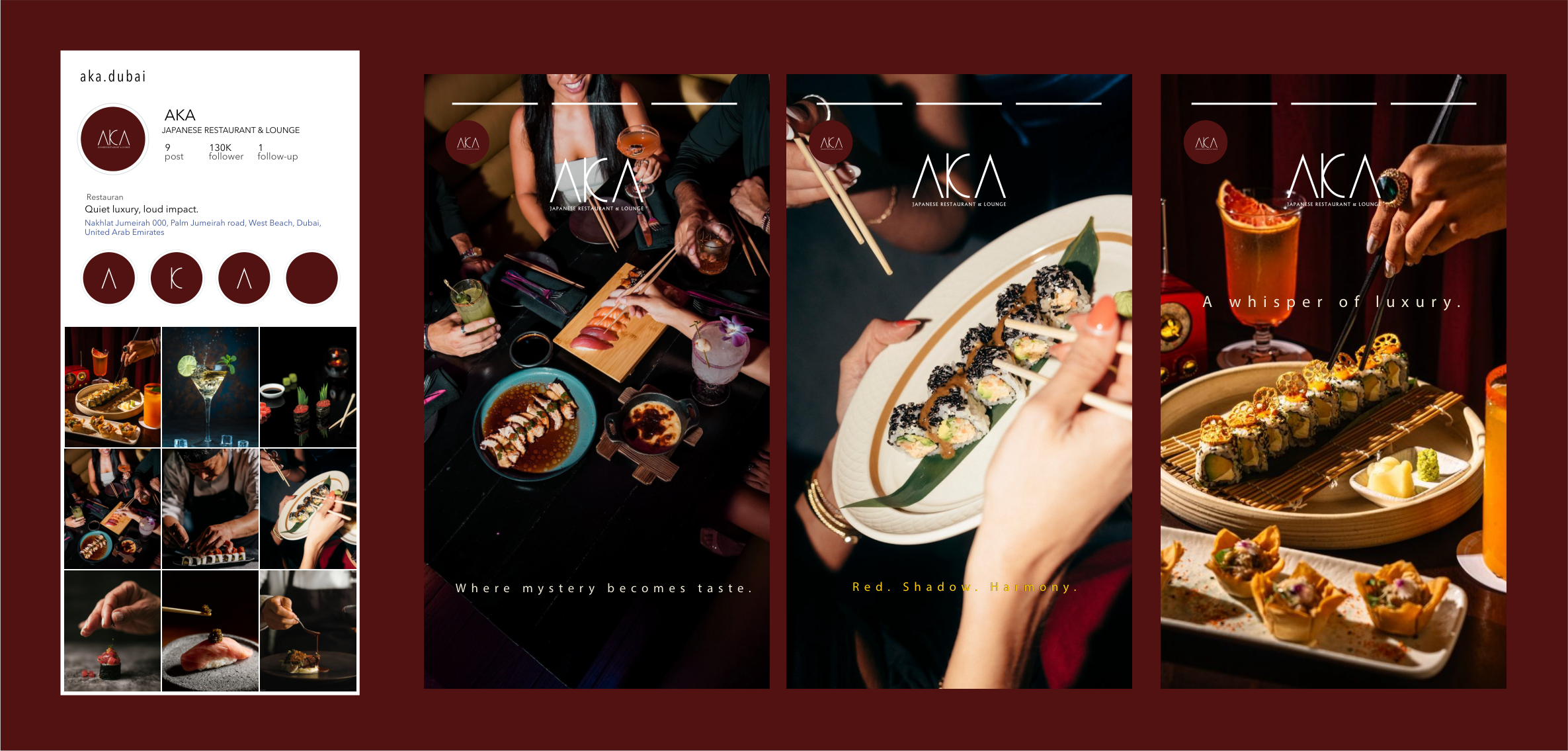AKA Instagram identity panel